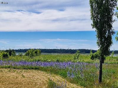 Fidenäs södra ön, Gotland