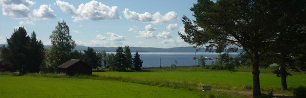 Hyr en trevlig stuga i Siljanområdets Leksand, Rättvik, Mora eller Orsa